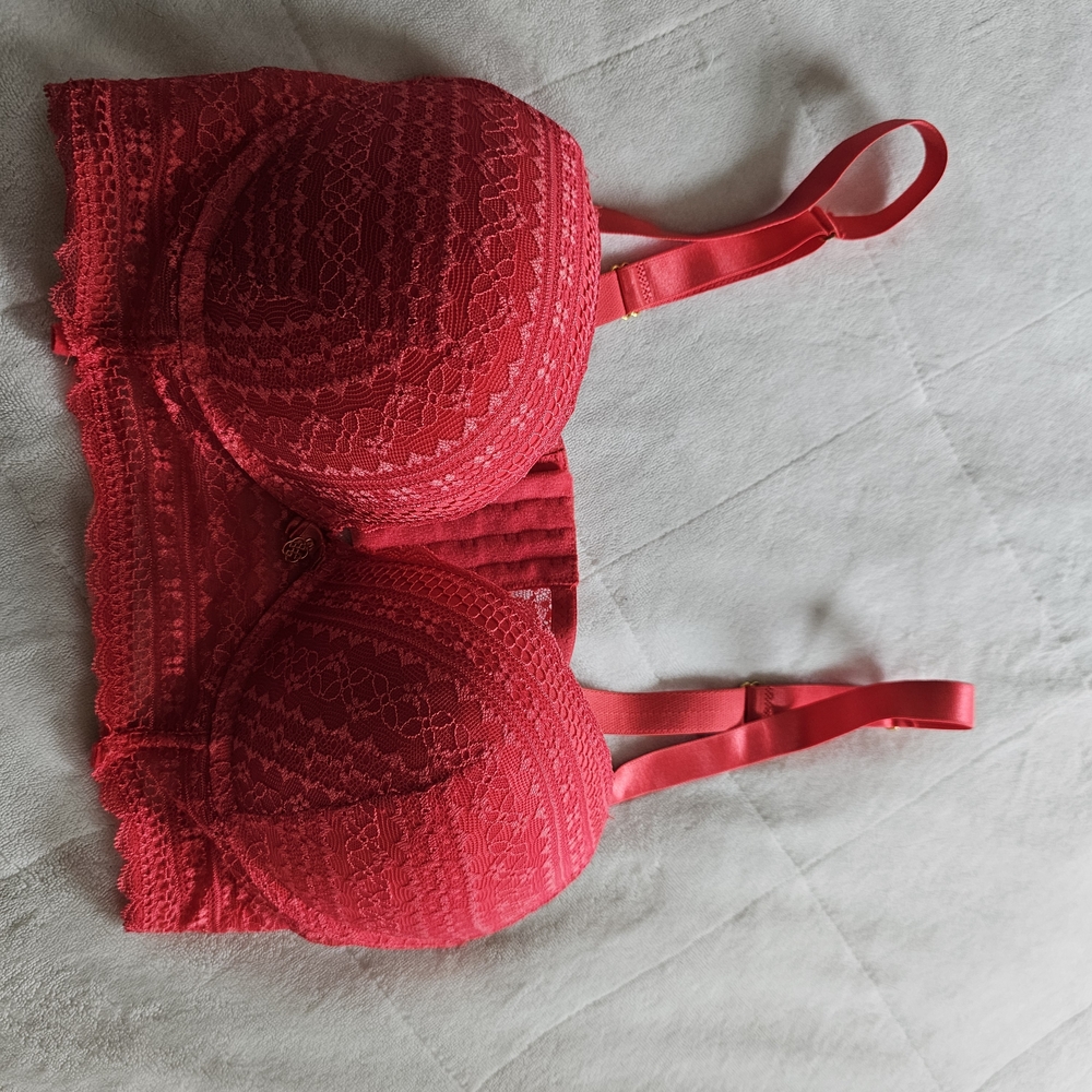 Daisy Fuentes Vibrant Red Lace Bra